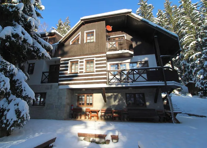 Labaika-2 By Interhome Lejlighed Harrachov
